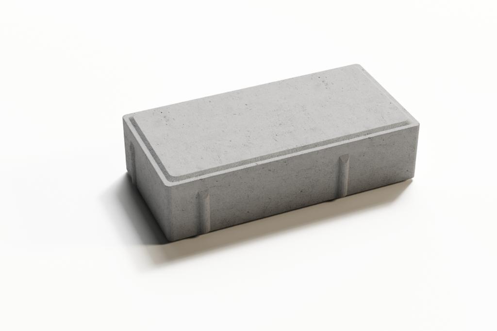 Standard Paver